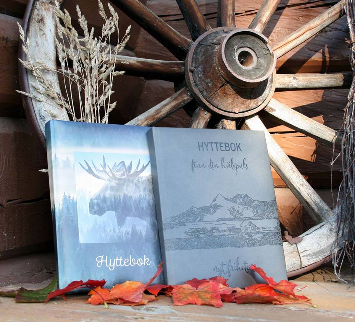 Cabin book, moose