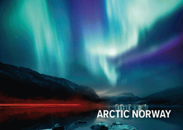 POSTCARD 3D Arctic 1