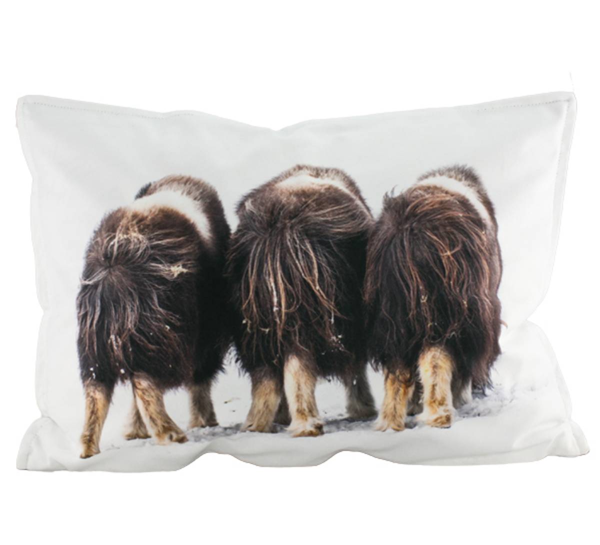 Velour cushion, Musk
