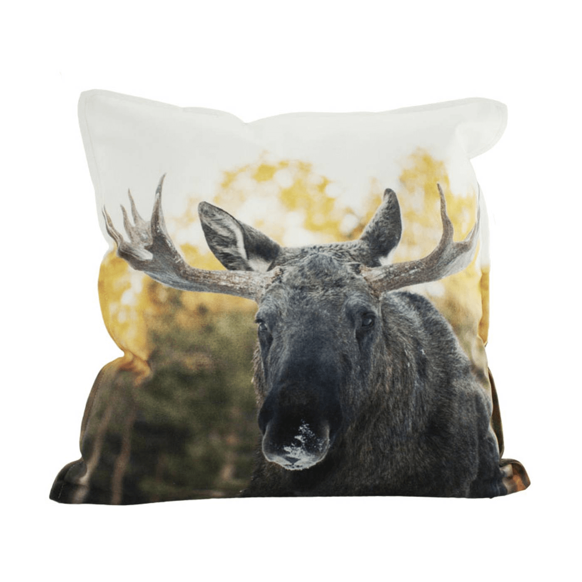 Blikk i Naturen Velourpute, Elg - NorwegianShop24