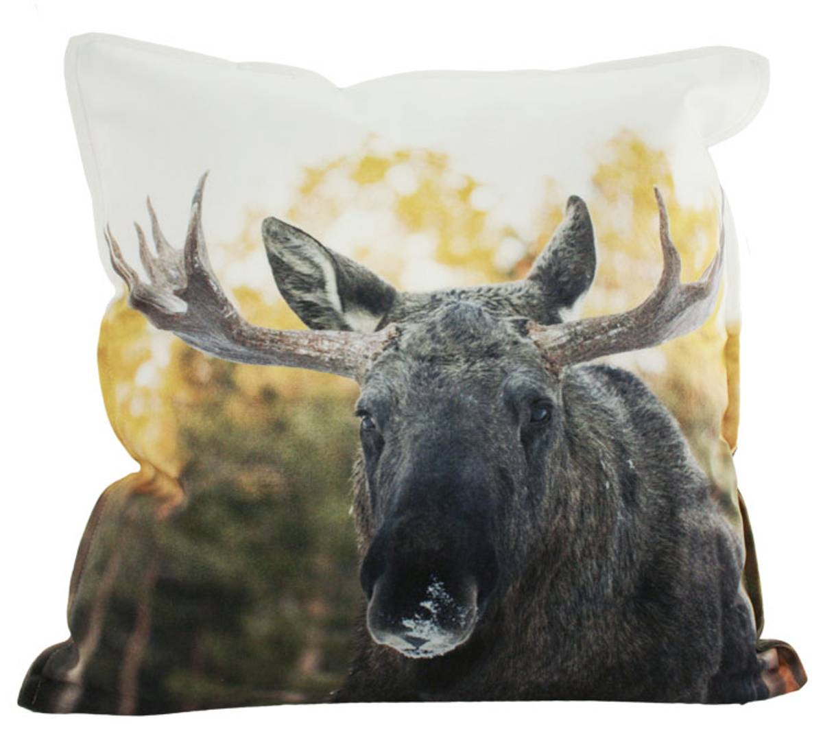 Blikk i Naturen Velourpute, Elg - NorwegianShop24