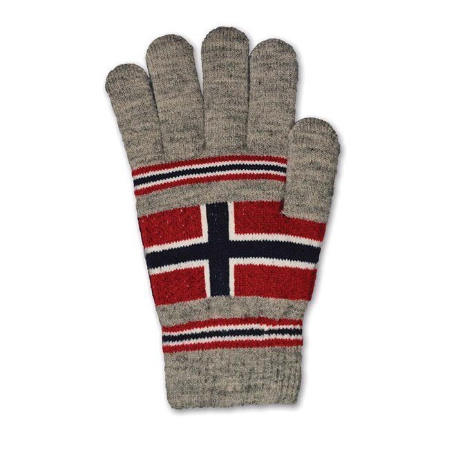 napapijri handschuhe Vanter mit Norsk Flagg in Grau