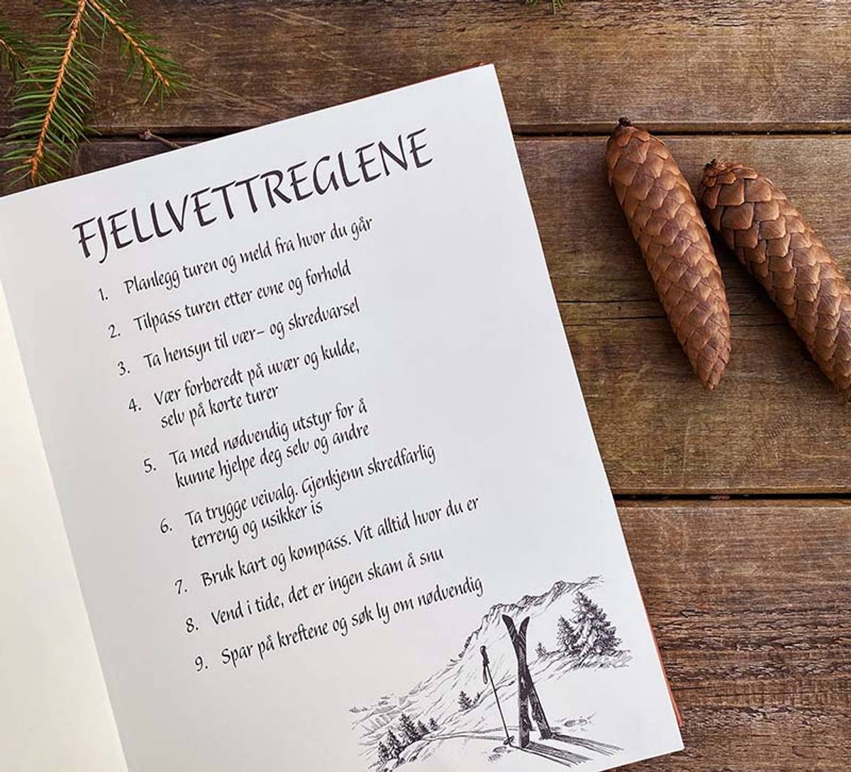 Hyttebok, brun - NorwegianShop24