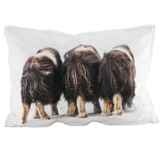 Velourpute, Moskus - NorwegianShop24