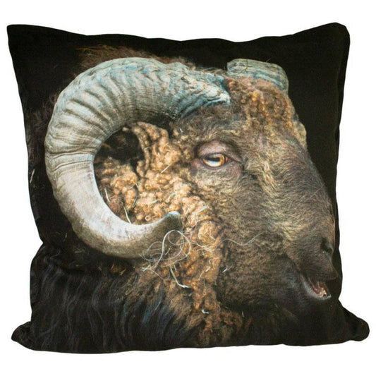 Velourpute, Sort vær - NorwegianShop24