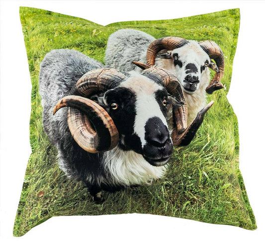 Velourpute, to værer - NorwegianShop24